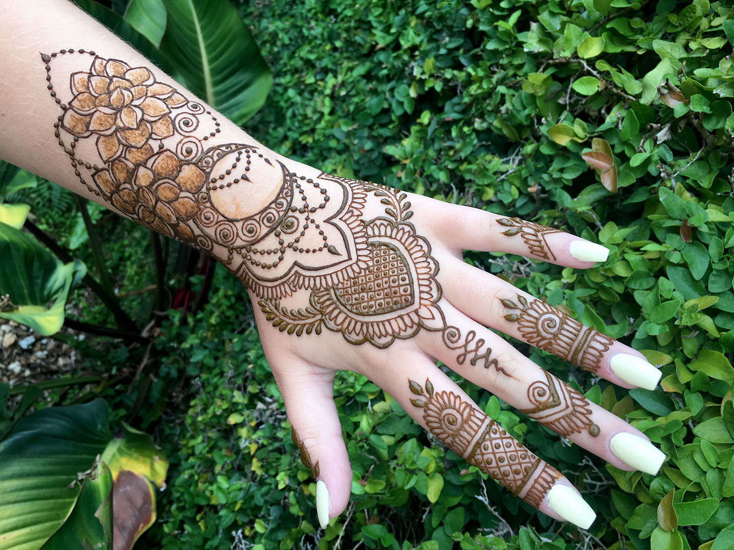 Jacquard Mehndi Henna Kit - Henna Tattoo Kits