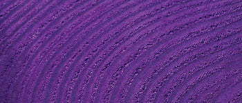 Basic Dye - (1/2 oz)