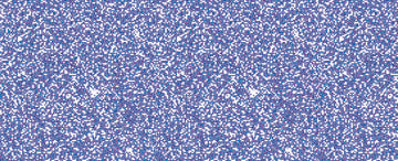 #color_687-True-Blue
