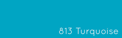 #color_813-Turquoise